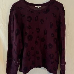 Splendid Maroon Knitwear